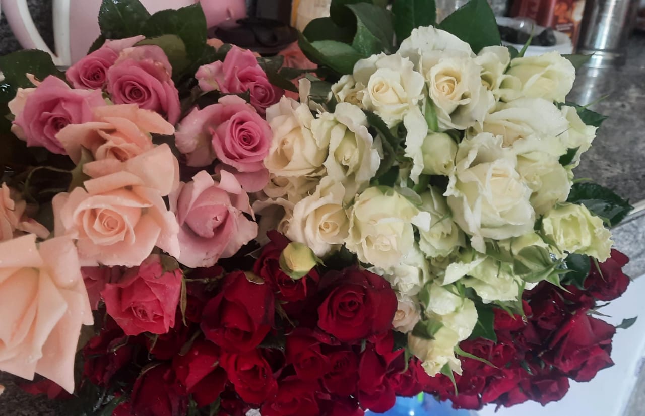 Mixed Roses