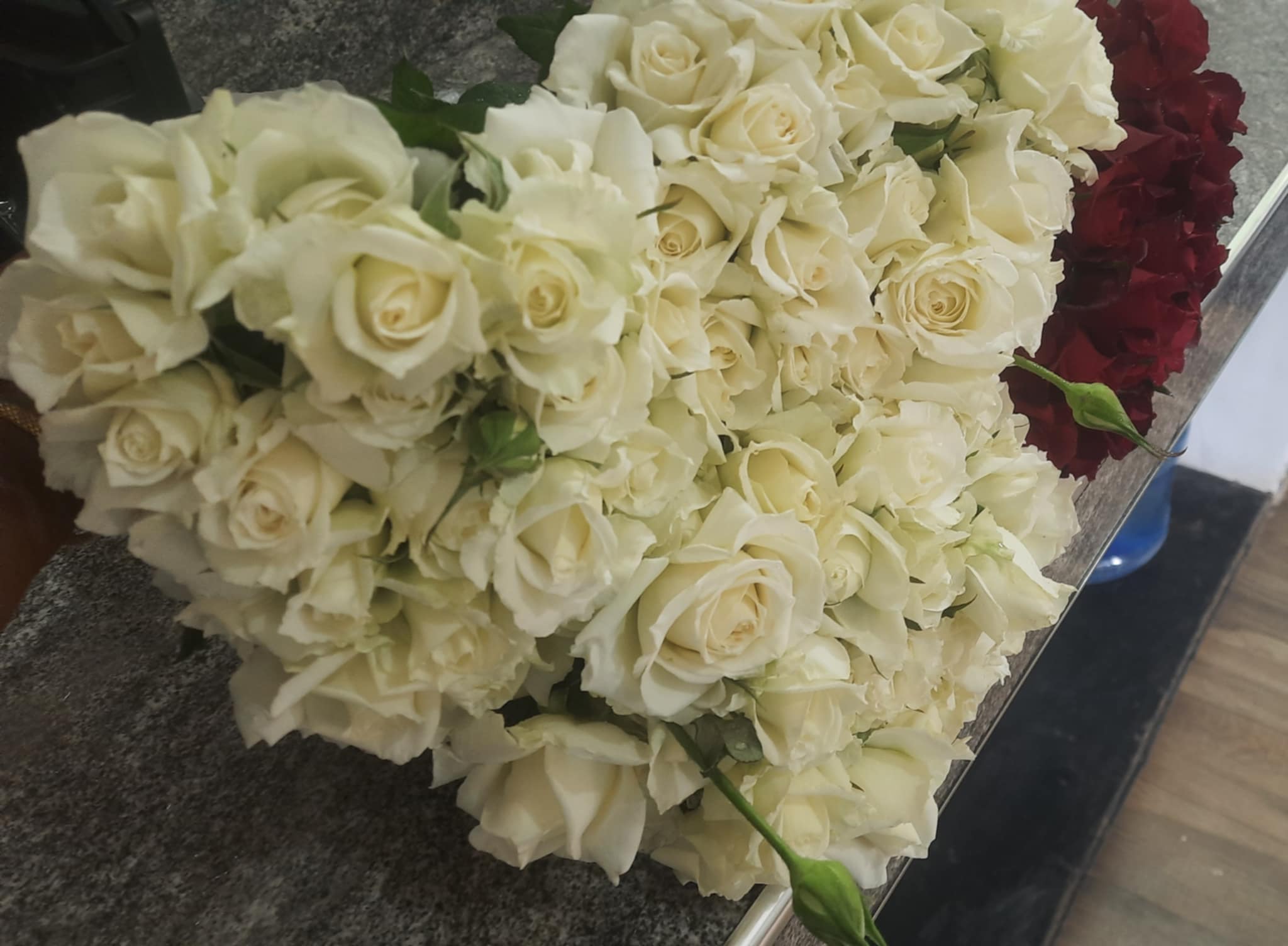 12 White Roses